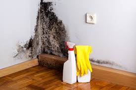 Reliable Hanceville, AL Mold Removal Services Solutions